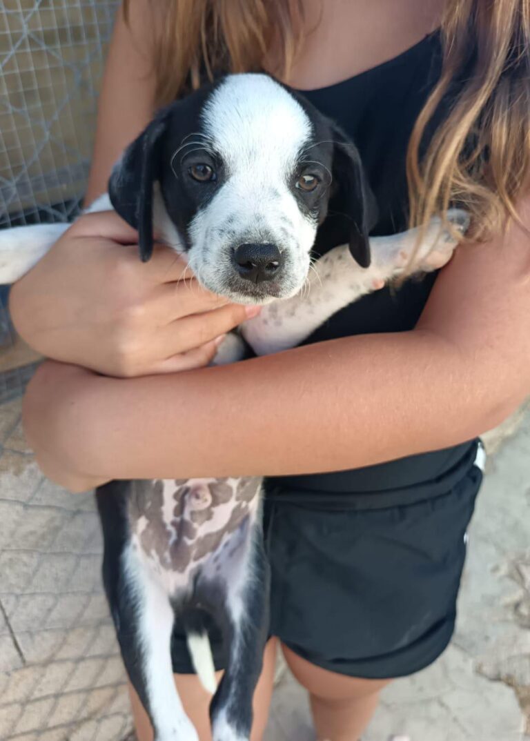 multimedia-foto95172-776-1