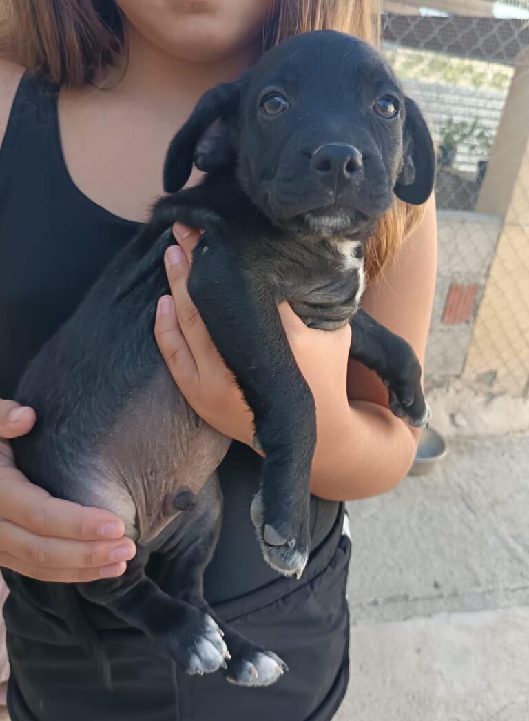 multimedia-foto95175-853-1