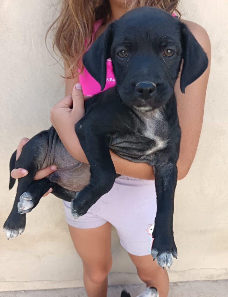 multimedia-foto95176-853-1