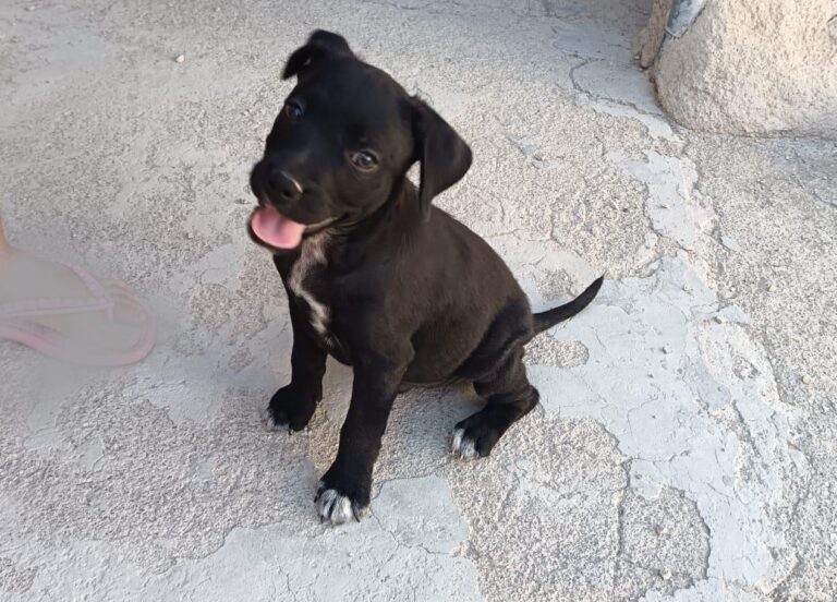 multimedia-foto95177-854-1