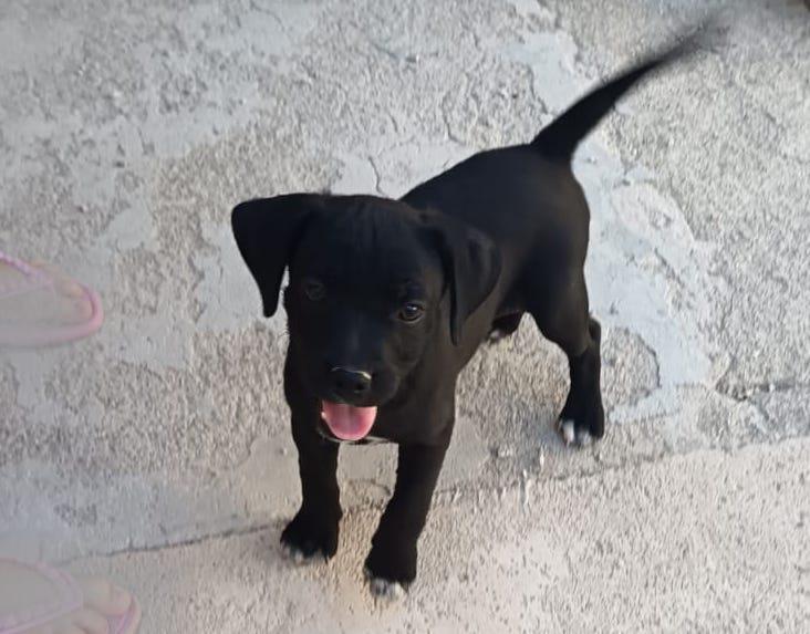 multimedia-foto95178-854-1