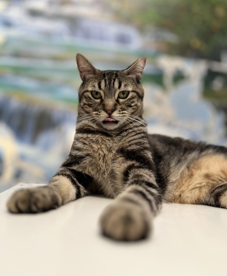 multimedia-foto95188-132-1