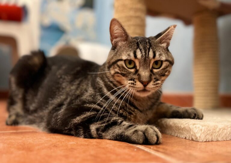 multimedia-foto95191-133-1