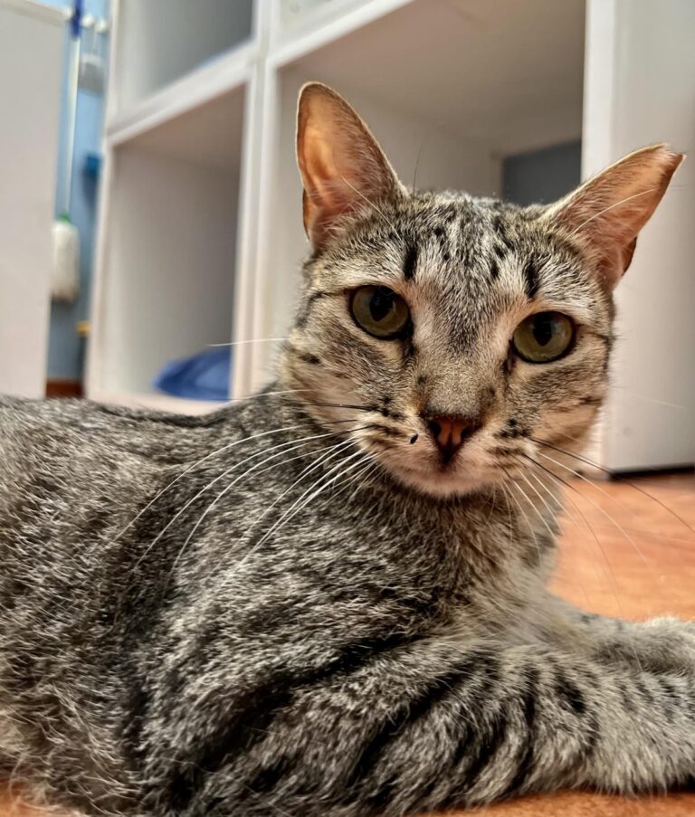 multimedia-foto95197-641-1