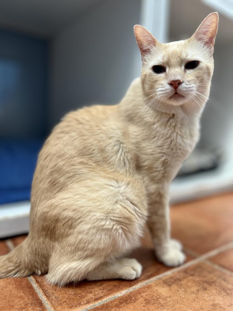 multimedia-foto95200-937-1