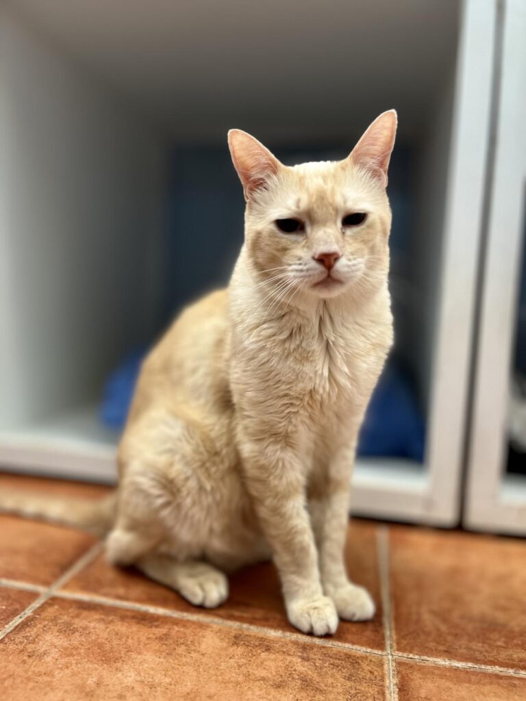 multimedia-foto95201-937-1