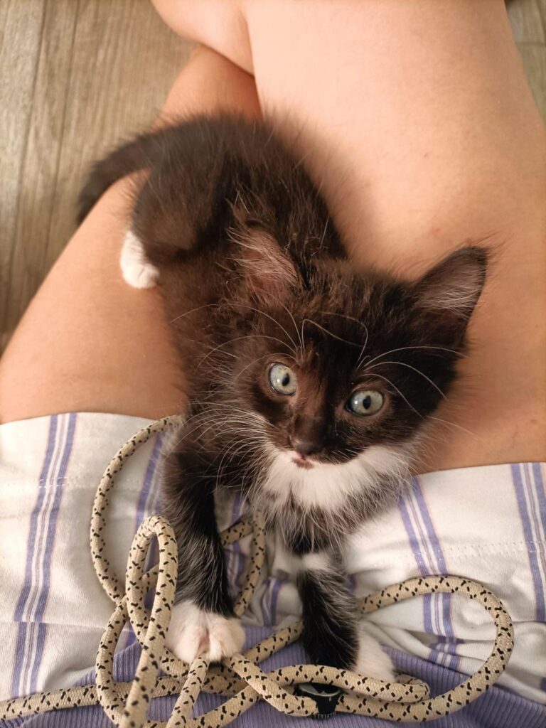 multimedia-foto95219-951-1