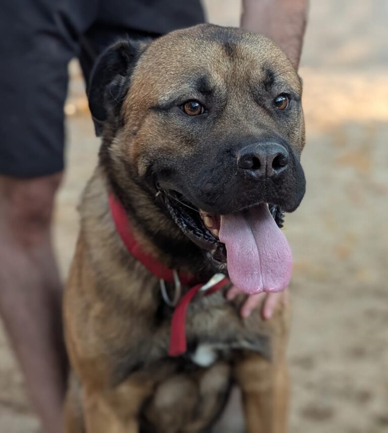 multimedia-foto95221-310-1