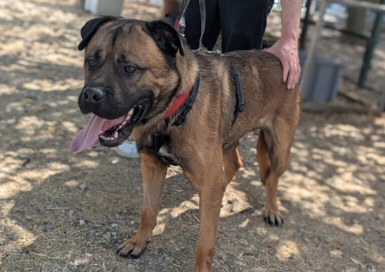 multimedia-foto95222-310-1