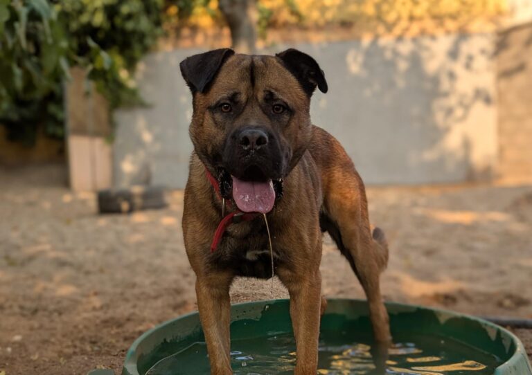 multimedia-foto95223-311-1