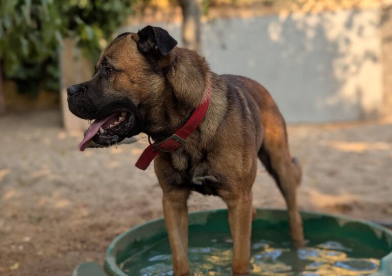 multimedia-foto95224-311-1