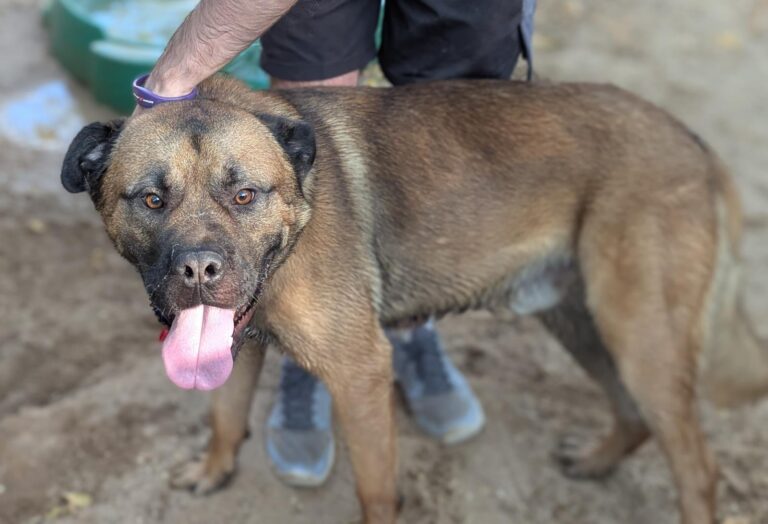 multimedia-foto95225-311-1