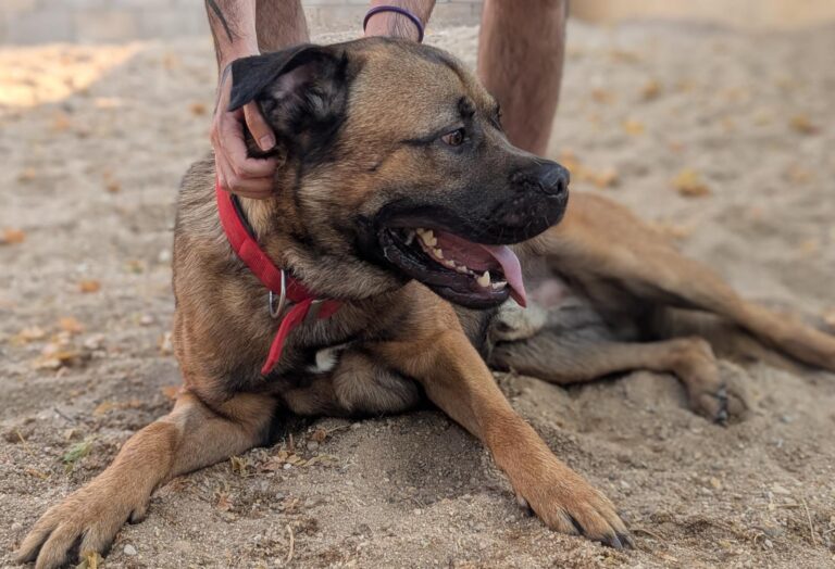 multimedia-foto95226-312-1