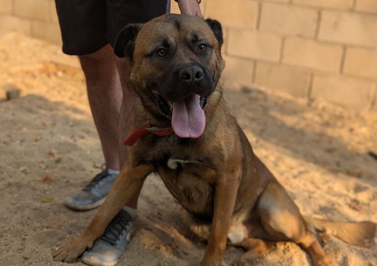 multimedia-foto95227-312-1