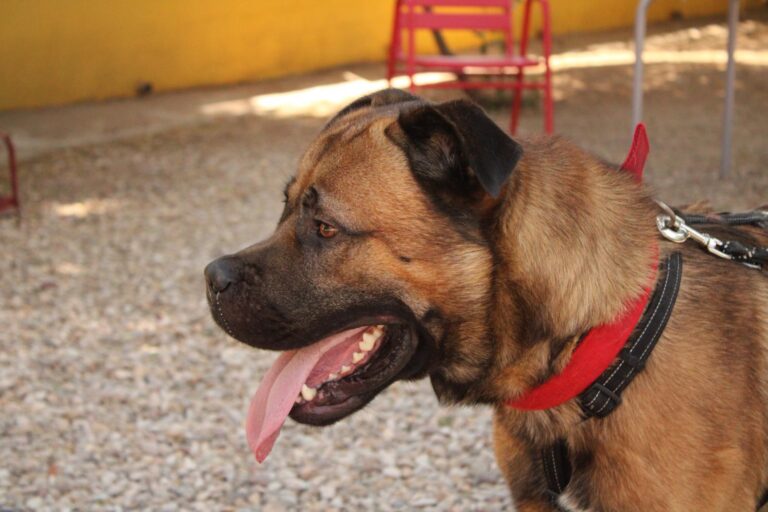 multimedia-foto95229-832-1