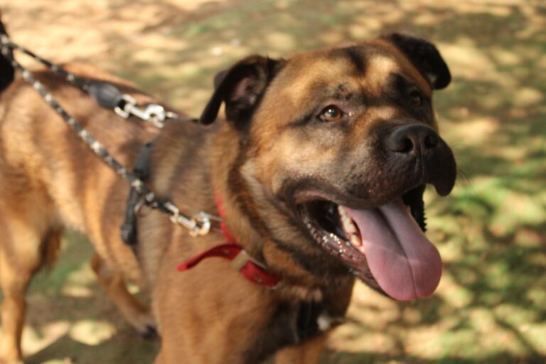 multimedia-foto95230-833-1