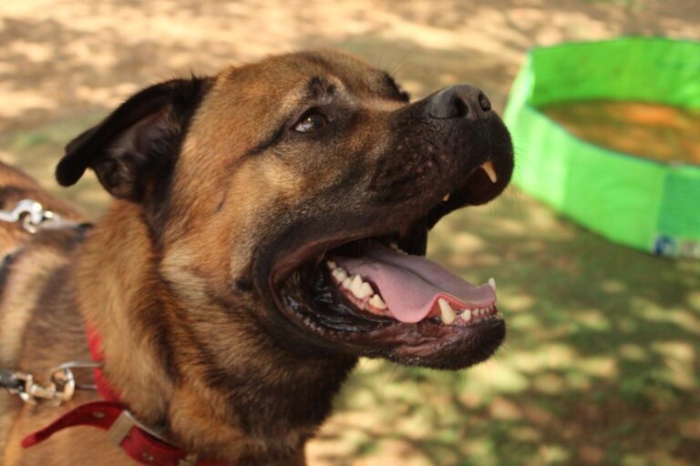 multimedia-foto95231-833-1