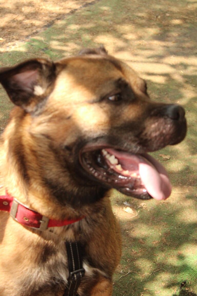 multimedia-foto95232-833-1