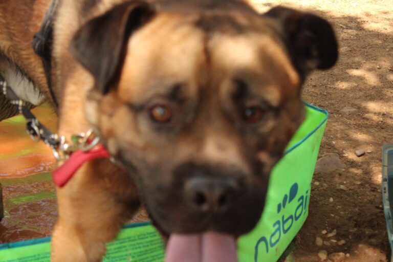 multimedia-foto95233-834-1