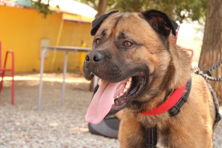 multimedia-foto95234-834-1