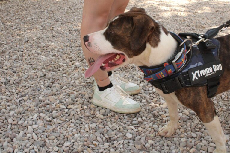 multimedia-foto95235-901-1