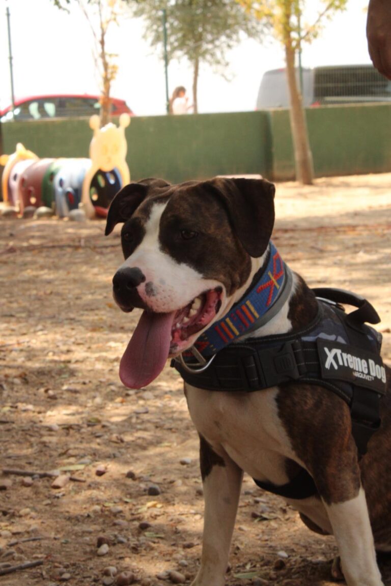 multimedia-foto95236-901-1