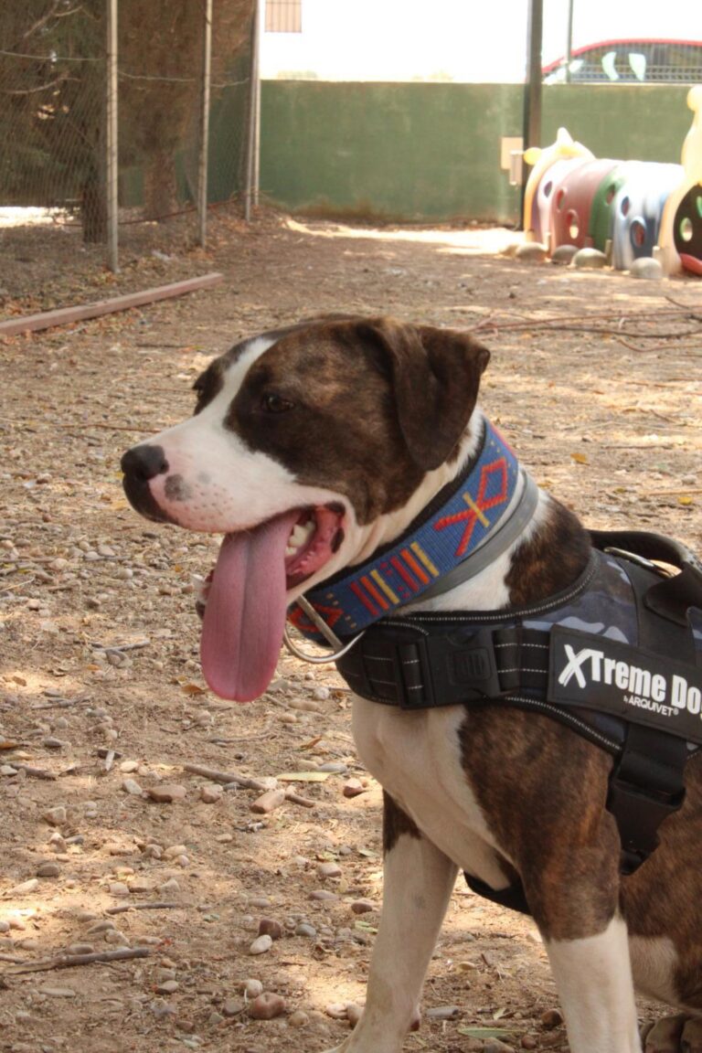 multimedia-foto95237-902-1