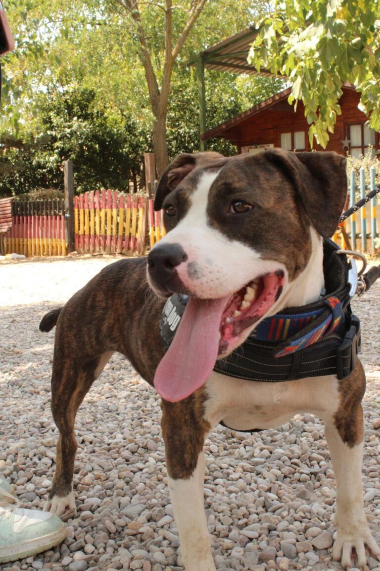 multimedia-foto95238-902-1