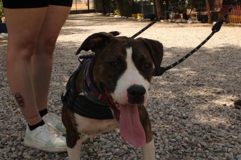 multimedia-foto95239-902-1