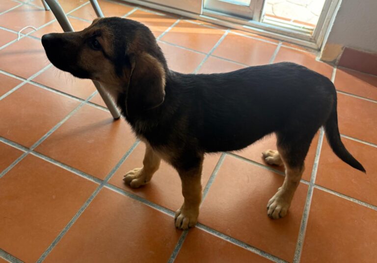 multimedia-foto95240-51-1