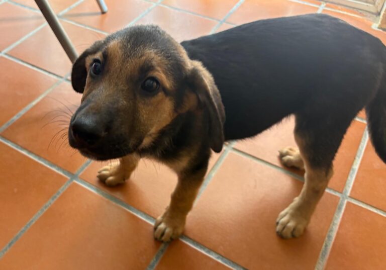 multimedia-foto95241-52-1