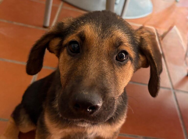 multimedia-foto95242-52-1