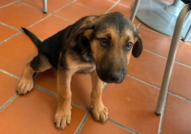 multimedia-foto95243-52-1