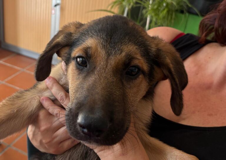 multimedia-foto95246-53-1