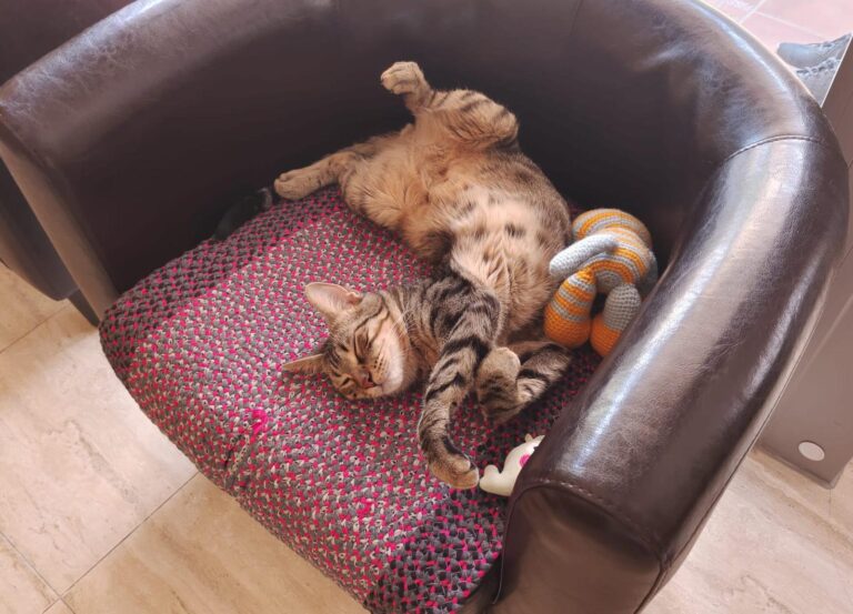 multimedia-foto95256-931-1