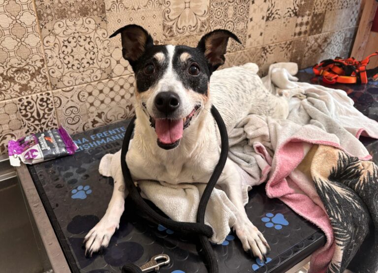 multimedia-foto95266-501-1