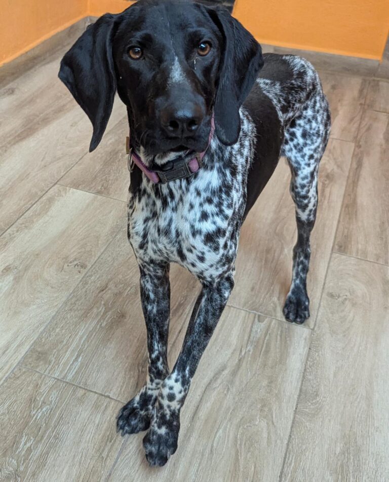 multimedia-foto95267-919-1