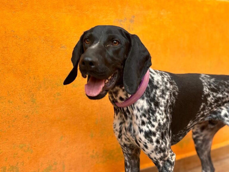 multimedia-foto95271-921-1