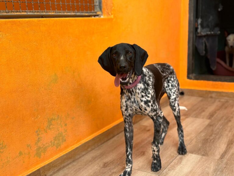 multimedia-foto95272-921-1