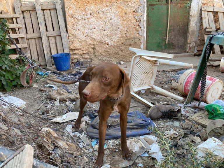 multimedia-foto95276-320-1