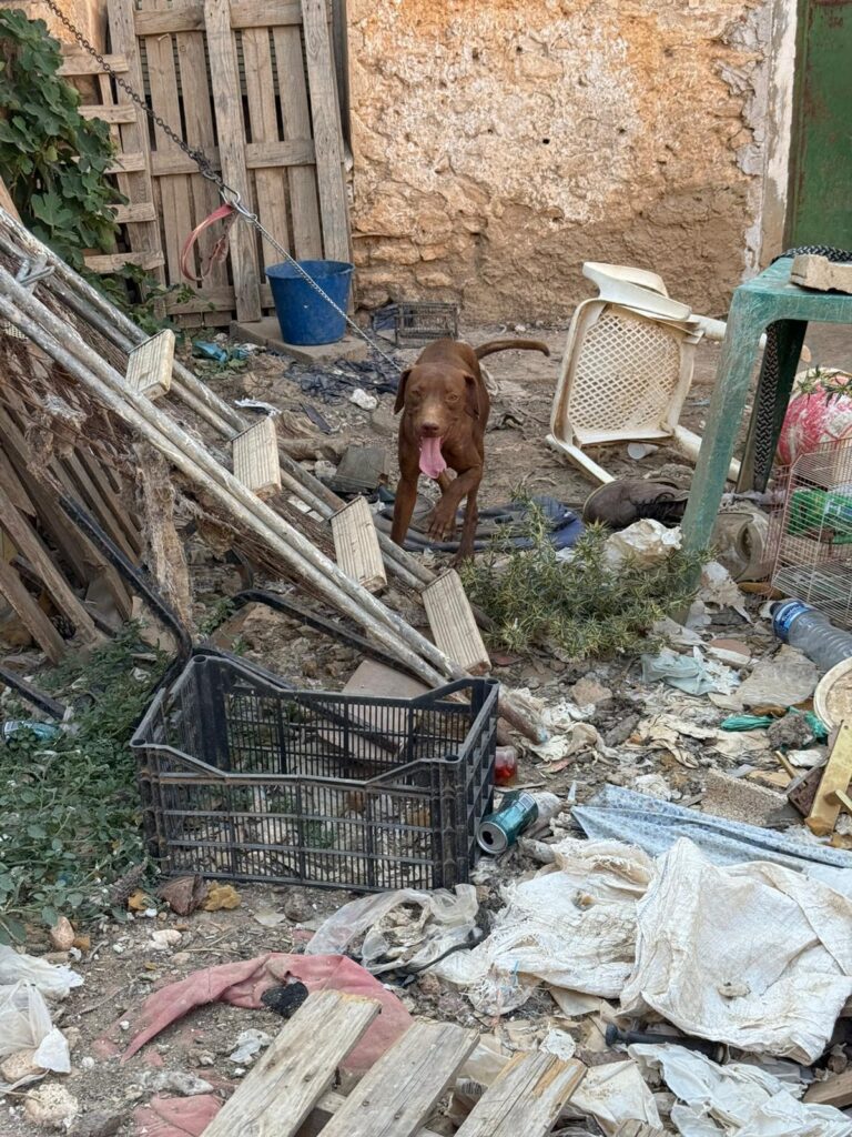 multimedia-foto95279-321-1