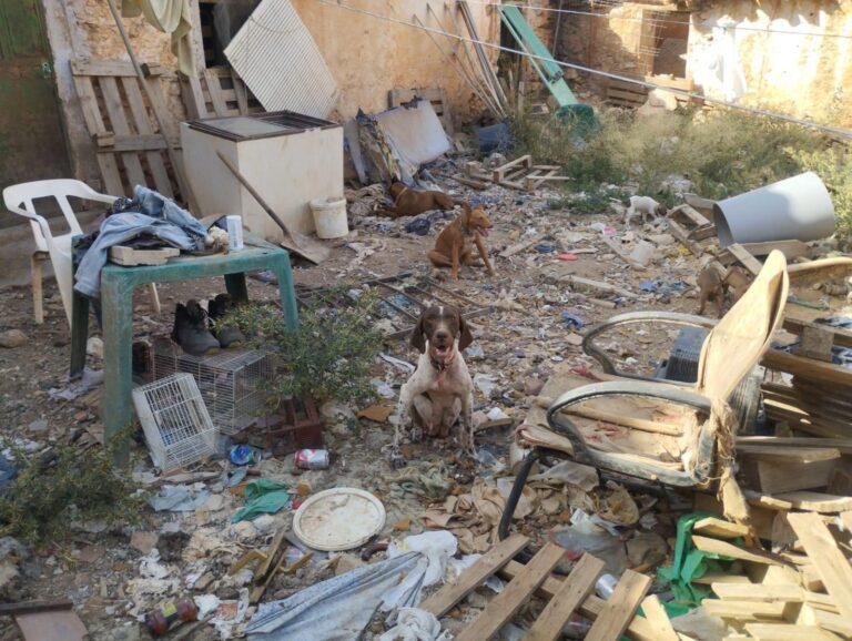 multimedia-foto95293-334-1