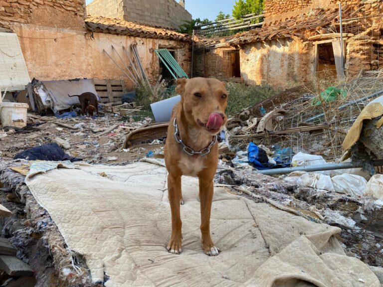 multimedia-foto95294-334-1