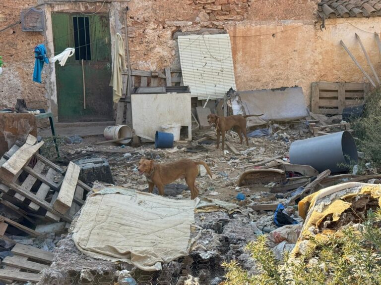 multimedia-foto95297-335-1