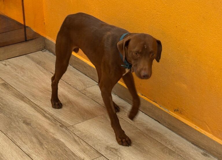 multimedia-foto95302-581-1