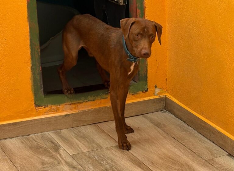 multimedia-foto95303-581-1