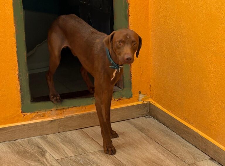 multimedia-foto95305-582-1