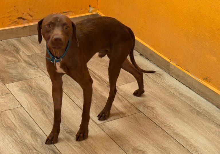 multimedia-foto95306-582-1