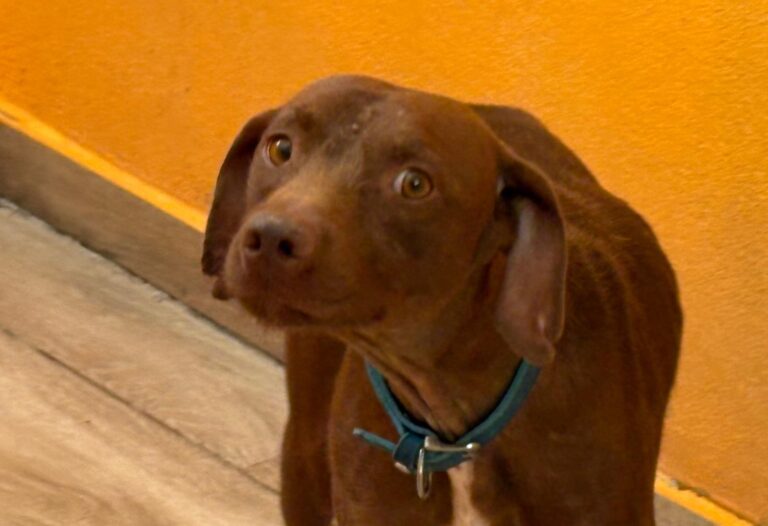 multimedia-foto95307-582-1