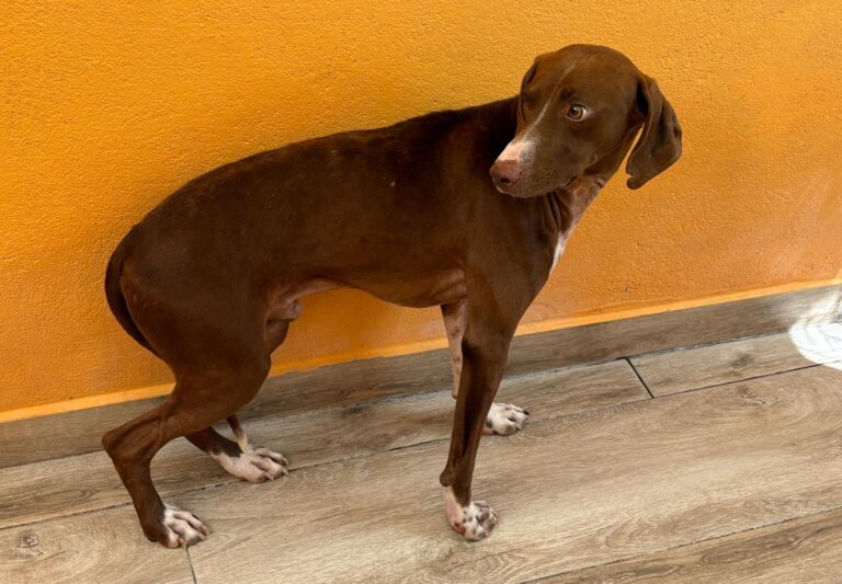 multimedia-foto95308-652-1